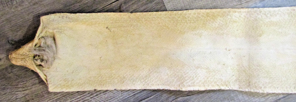 Taxidermy Genuine 15' 4" Long Reticulated Python Hide