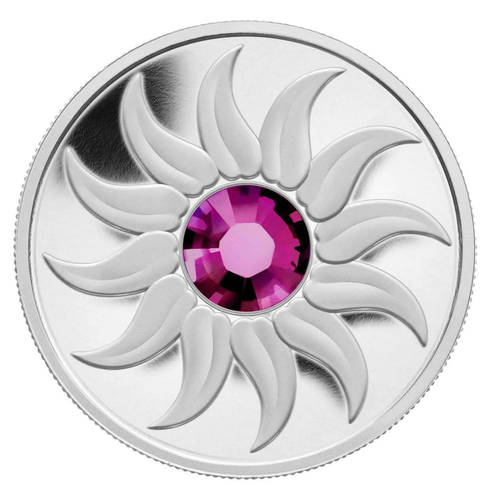 2011 Birthstone Collection January Silver coin