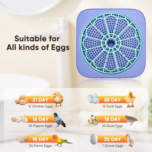 Smart Egg Incubator with Humidity Control, Auto Turner & 360° View for Hatching