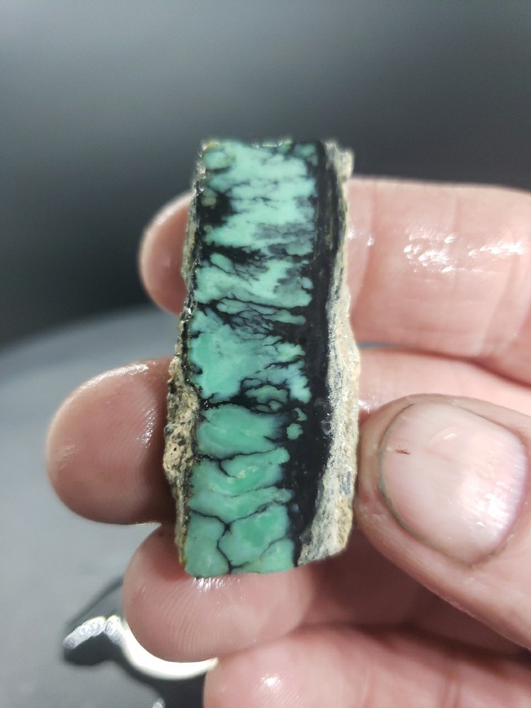 Nevada Saguaro Variscite Slab