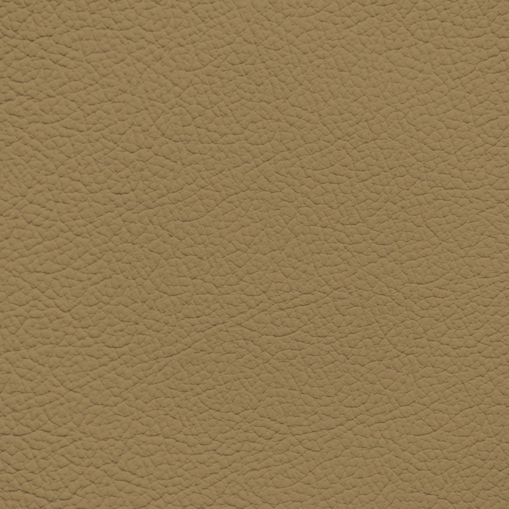 Acura/Honda Ivory Leather Dye