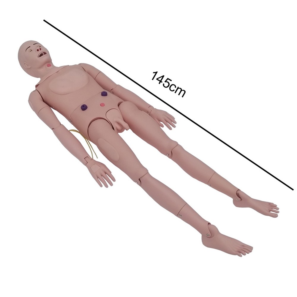 Patient Care Burn Teaching Model Nursing Care Training Manikin 24 Wound Modules