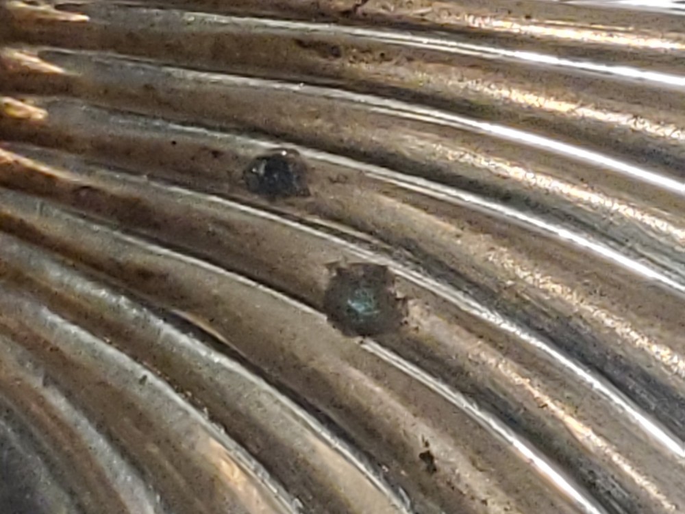 Gorham Sterling Shell Dish 445