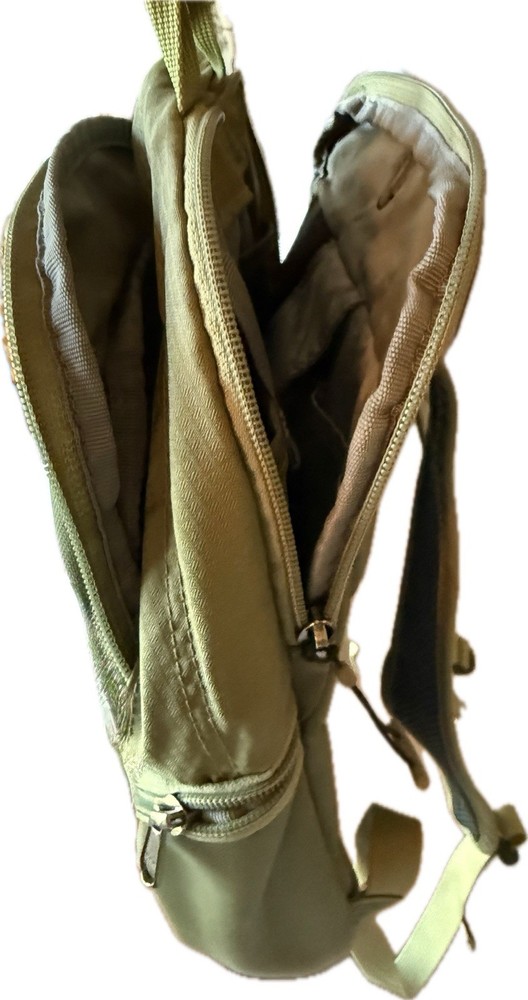 Eagle Creek Travel Bug Daypack – Sage Green - Small Backpack / Travel Pack