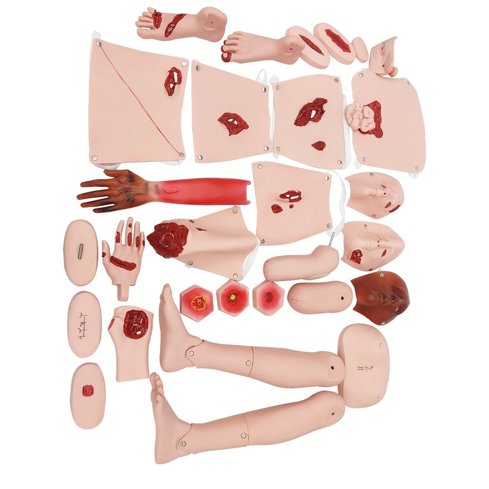 Patient Care Burn Teaching Model Nursing Care Training Manikin 24 Wound Modules