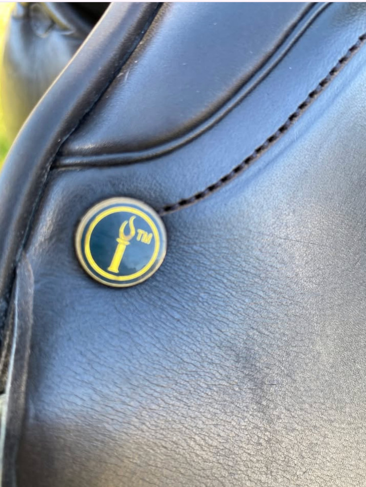 Dressage Saddle 17.5 - Dominus