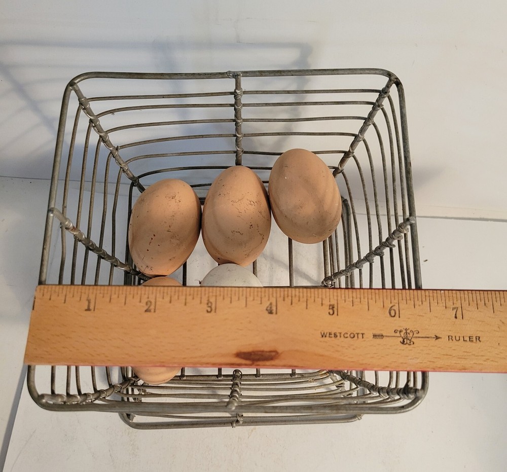 Wire Egg Basket Pedestal with 5 Eggs