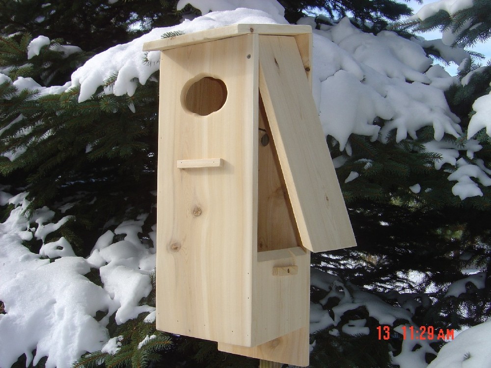 Wood duck nest box (3 pack, white cedar)