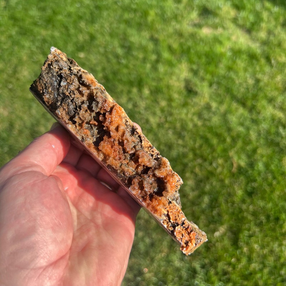 Liberty Ledge Agate Rough Faced Specimen 438gm (P19)