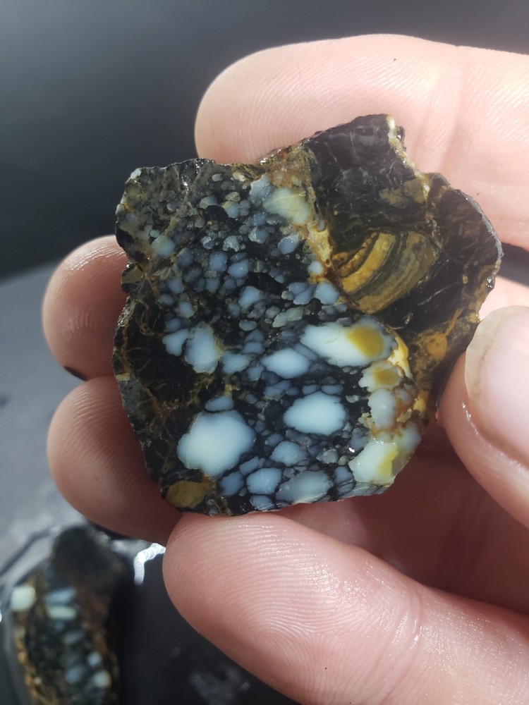 Aloe Variscite Slabs