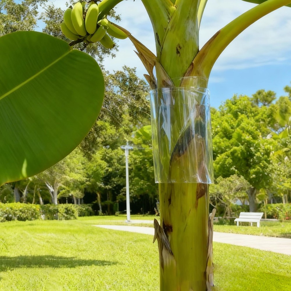 Iguana Tree Wrap Tree Trunk Protector Guard for Iguana Prevention Climbing Tr...