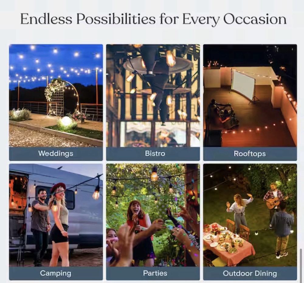BRIGHTECH Ambience Pro Outdoor 48 ft. LED Edison Bulb Hanging String Light