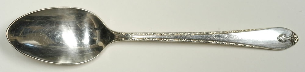 International Silver Exquisite Teaspoon 246629