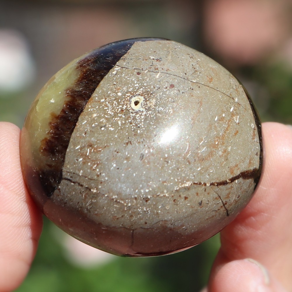Polished Septarian Nodule (SEP45)