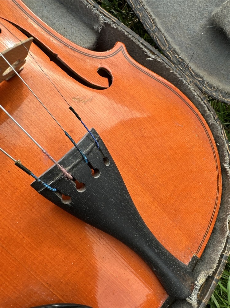 Reghin Romania Violin