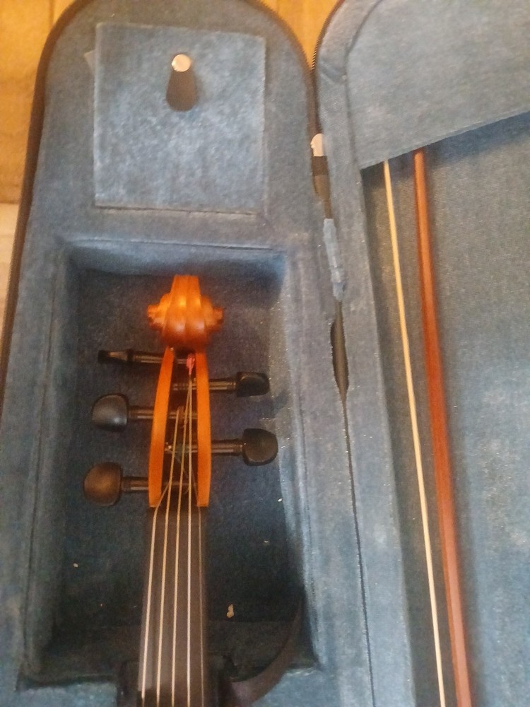 Violin 5 Strings Electronic And Acustic