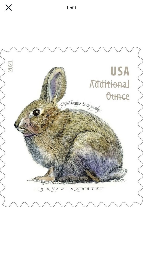 2021 US Stamp - Brush Rabbit - Single Coil-MNH Additional Ounce Stamp
