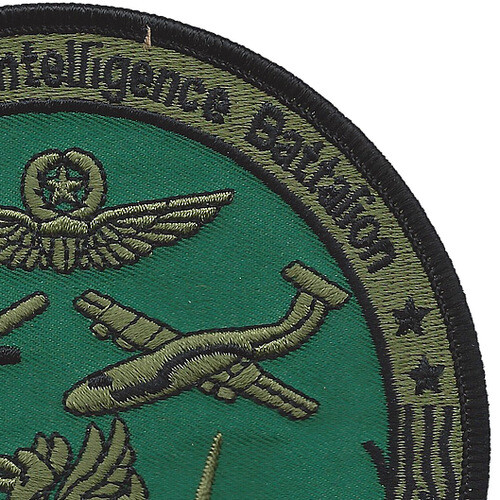 204th Military Intelligence Battalion Patch