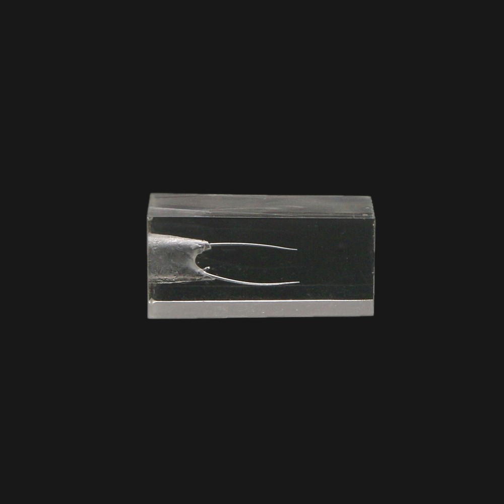 10 Pcs Dental Endodontic Root Canal Practice Model Endo Training Block Clear