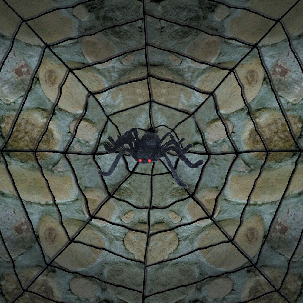 Giant Spider Web With Spider - Sunstar