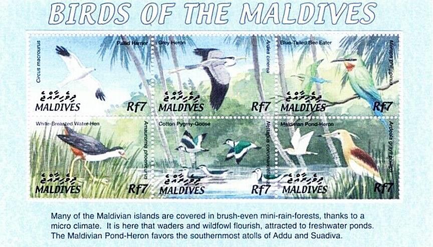 👉 MALDIVES = endemic BIRDS M/S MNH
