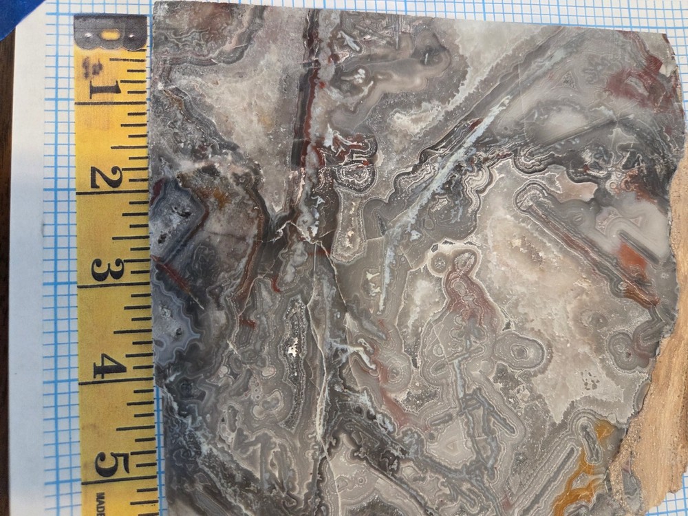 Crazy Lace Agate Slab