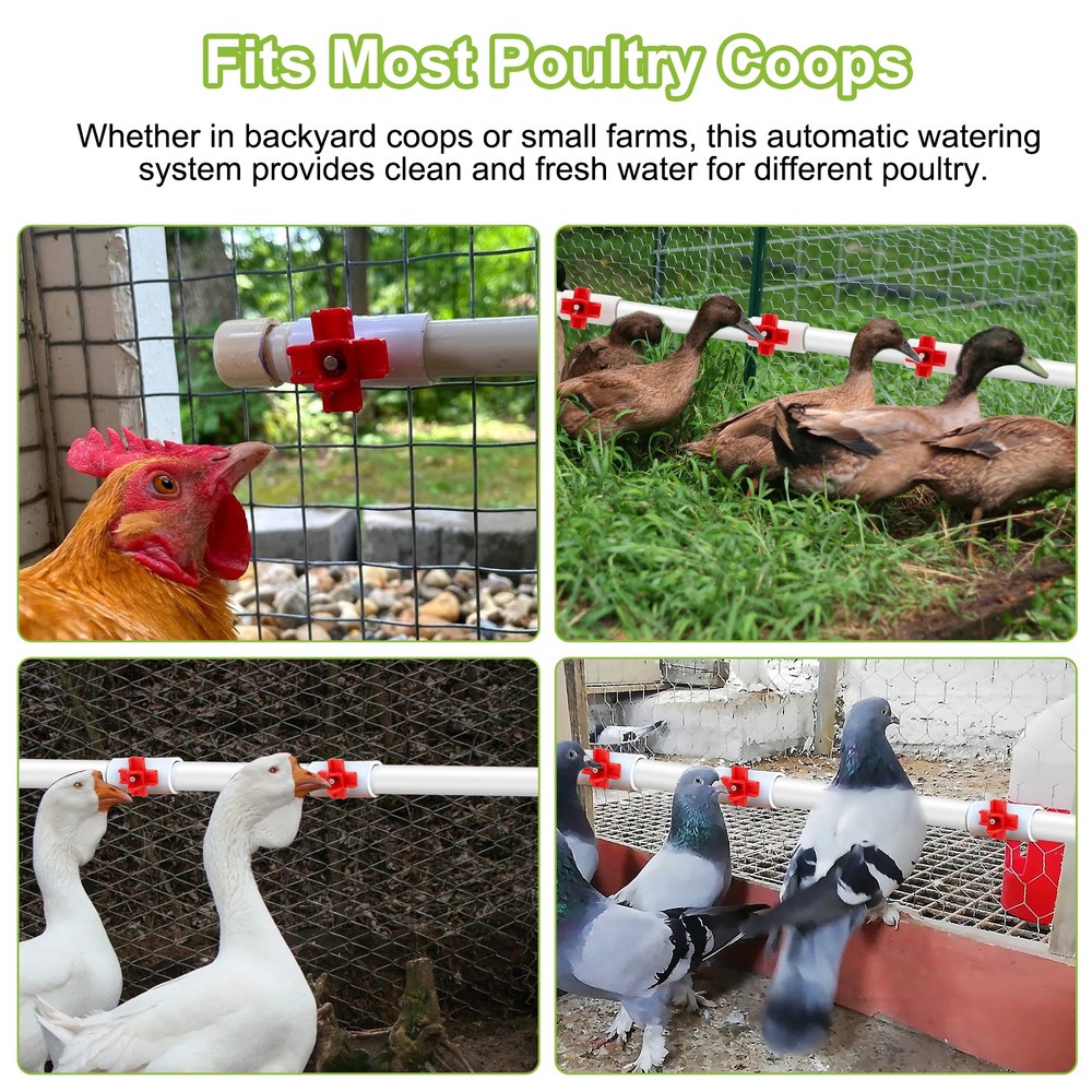 12 PCS Chicken Nipples Automatic Waterer Poultry Drinker Hen Duck Quail Drinking