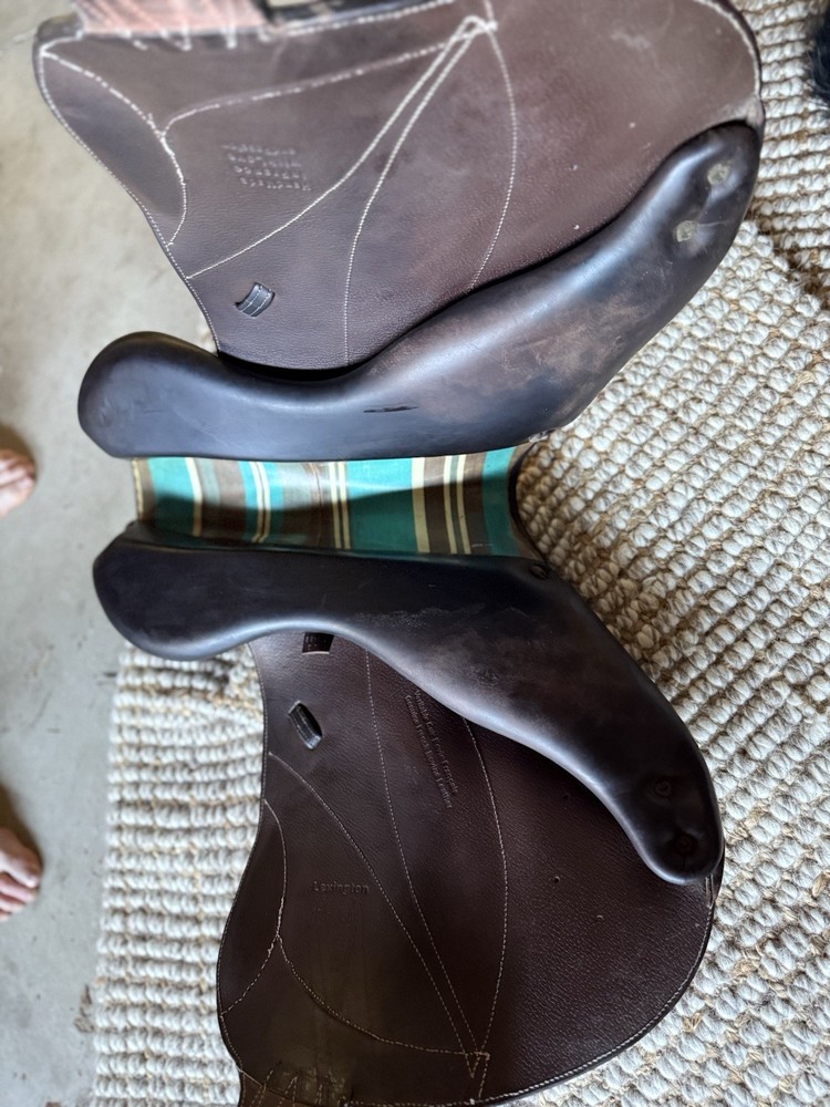 voltaire lexington saddle