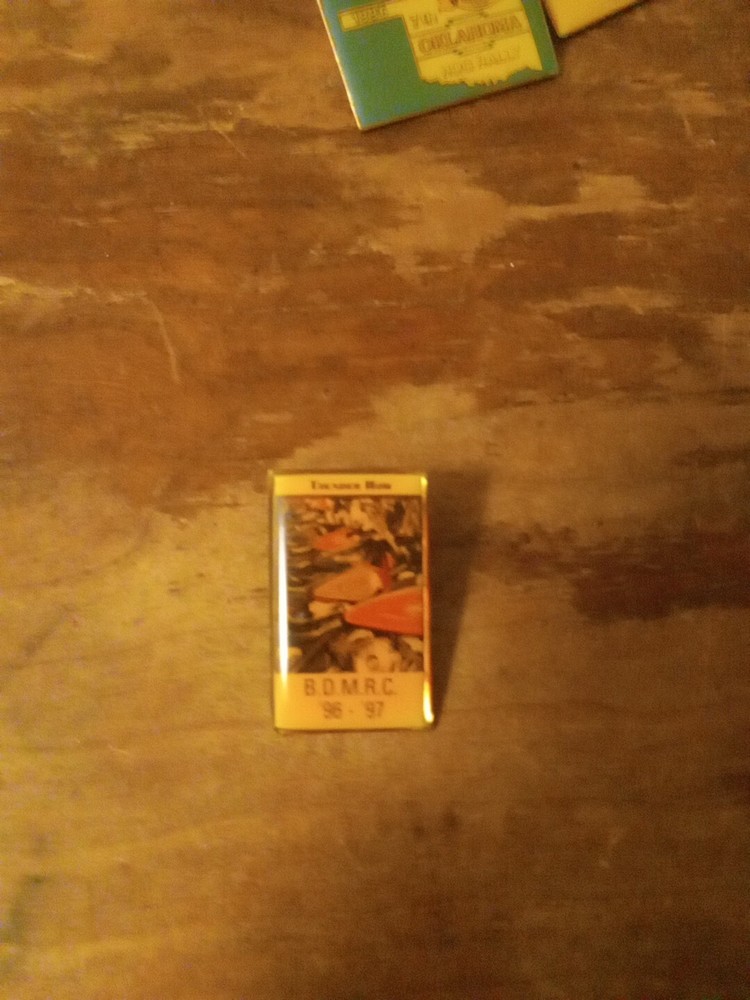 Hog Rally Biker Pins