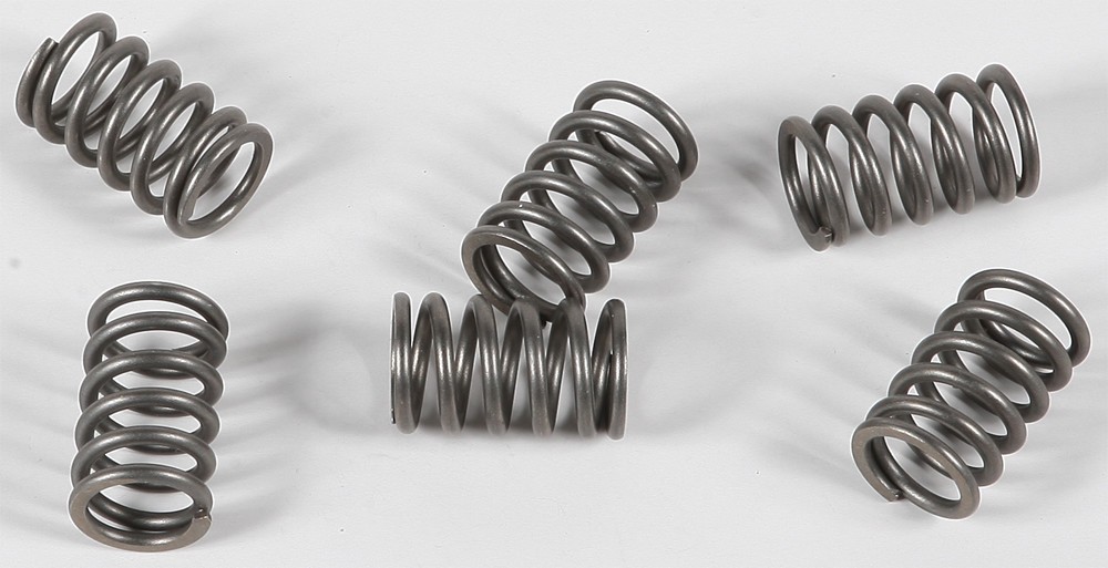 EBC Clutch Spring Set - Clutch Springs - CSK161