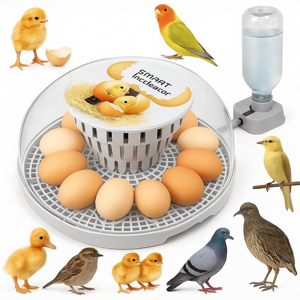Incubators for Hatching Eggs, Egg Incubator with Automatic Egg Turning and Humid