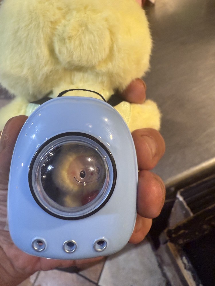 Labubu backpack and a mini figure inside