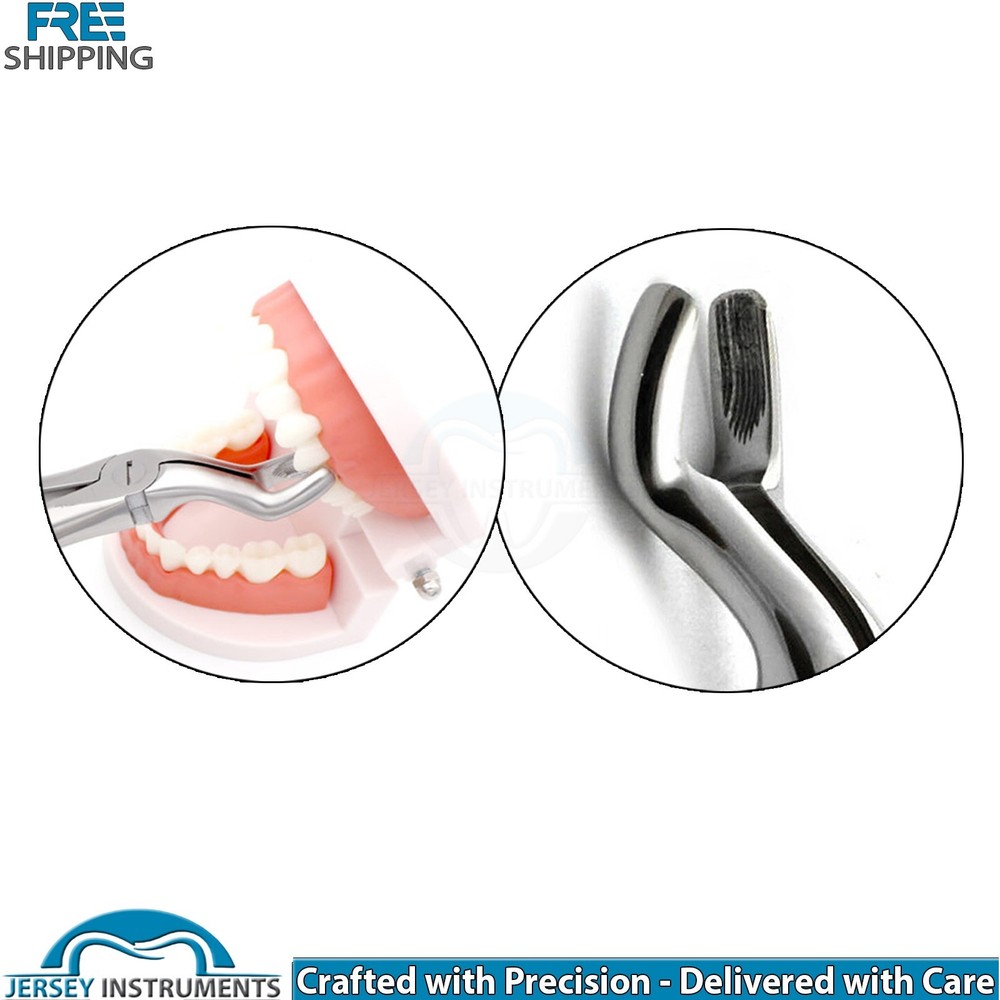 Professional Dental Extraction Teeth Forceps Fig 67A Upper Root Surgical Tool CE