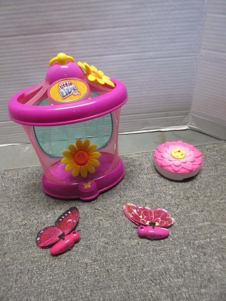 Little live pets blue Butterfly's with cage