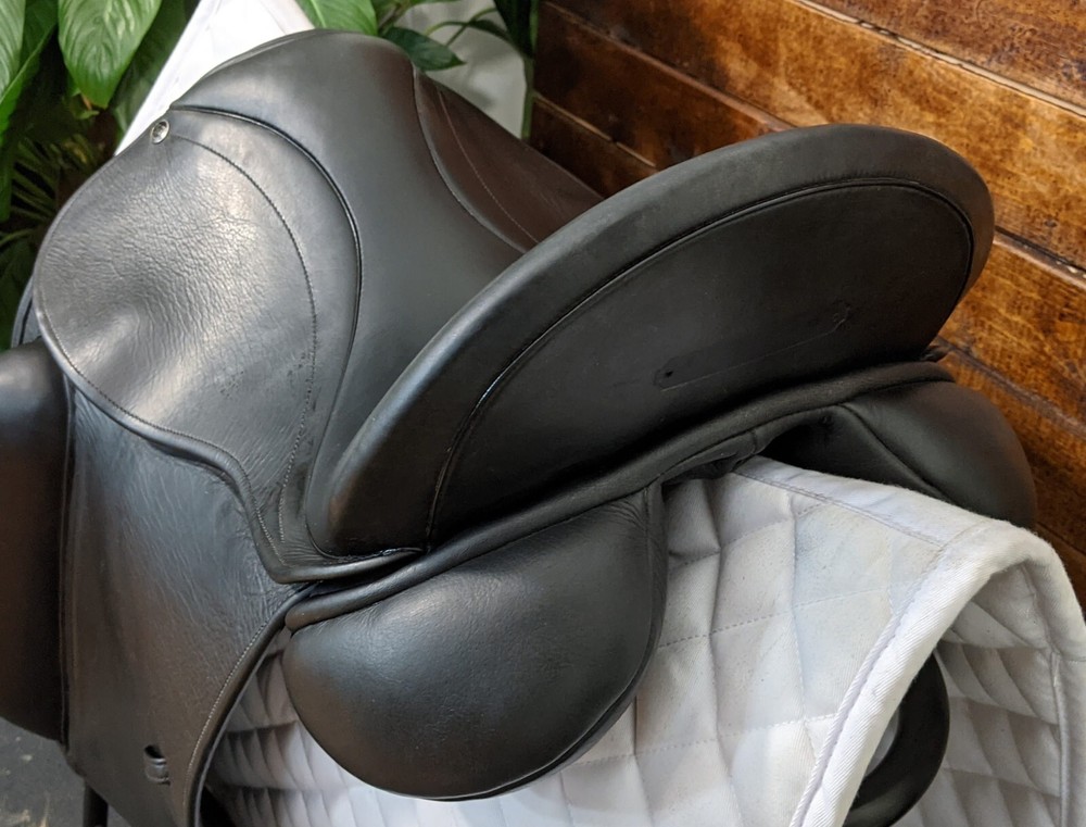 16.5" County Perfection (2008) *Short Flaps*Wool Flocked*