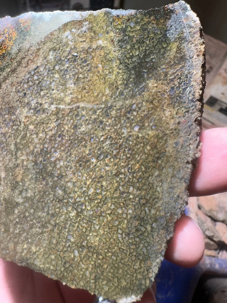 Dinosaur bone rough **hxtled slab.