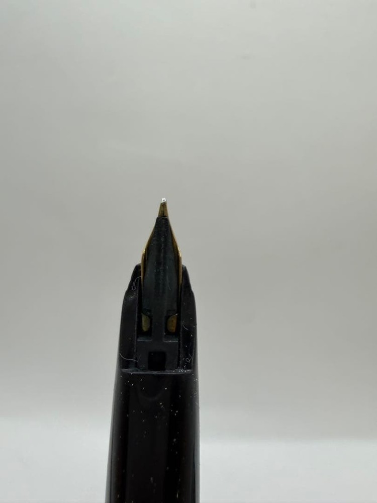 Fountain Pen Pilot 14K 585