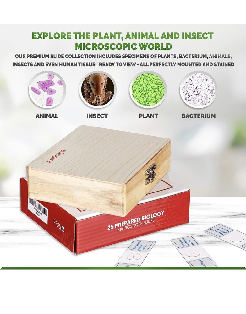AmScope 25 Prepared Biological Microscope Glass Slides - Open box