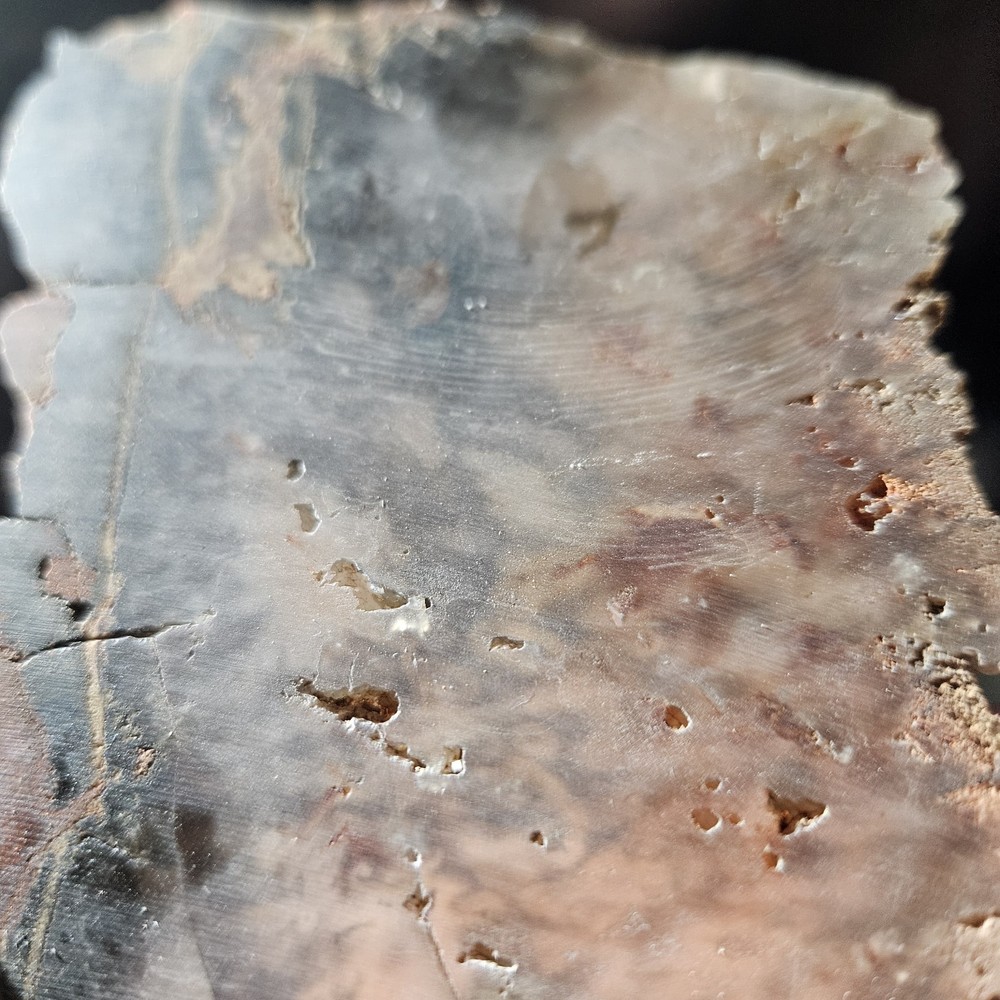 Unknown Lapidary Slab 115 Grams