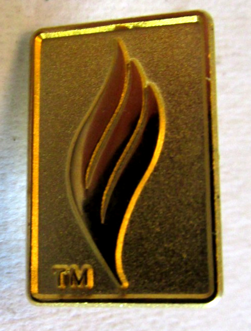 VTG TM Lapel Pin Gold-Colored Rectangular Custom Recognition 1"