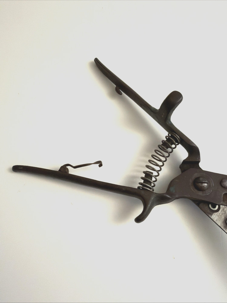 Garden / Grass Shears Vintage 12" Coil Spring Sharp! Nice Old Tool!