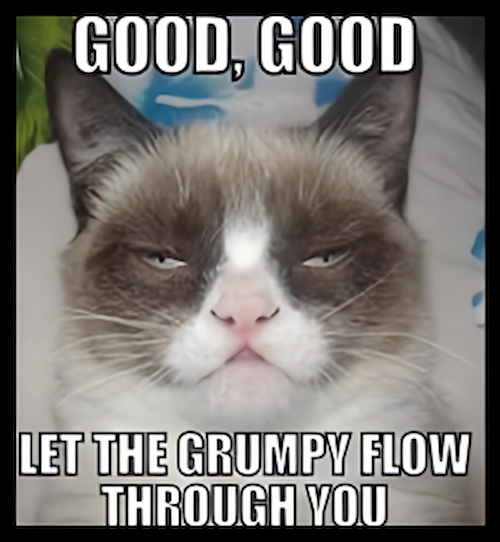 Good Good Let The Grumpy Flow Through You Grumpy Cat Love Pet MAGNET