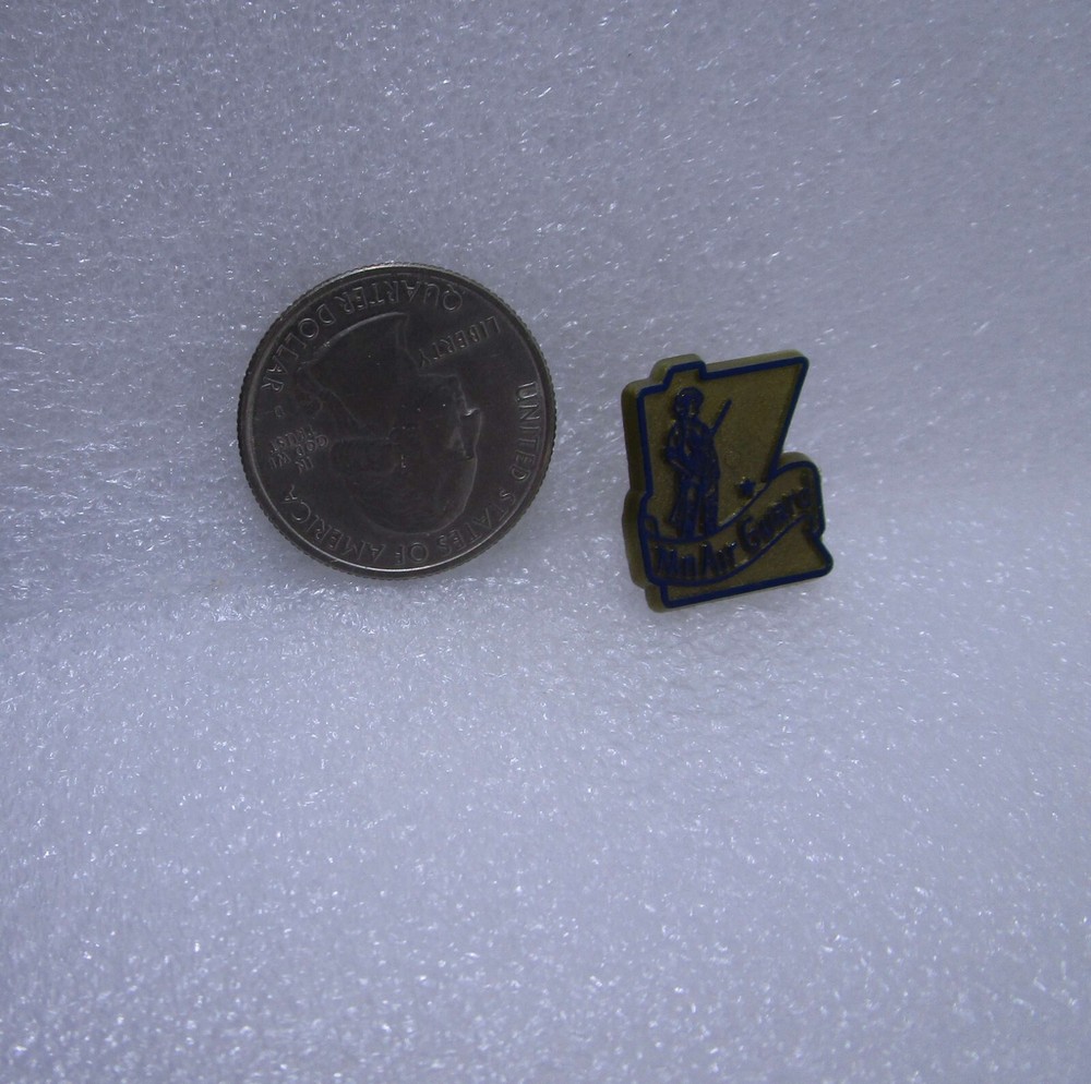 Minnesota Air Guard Plastic Pin