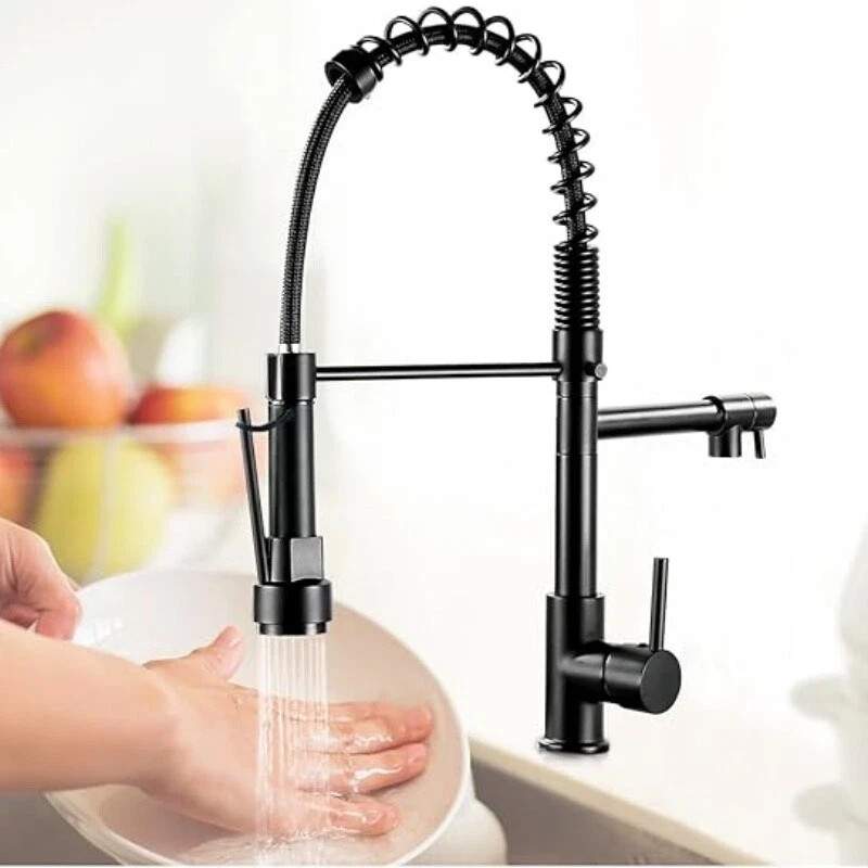 Kitchen Faucet Kit 2-Function Pull Down Sprayer Pot Filler w/Spring Spout