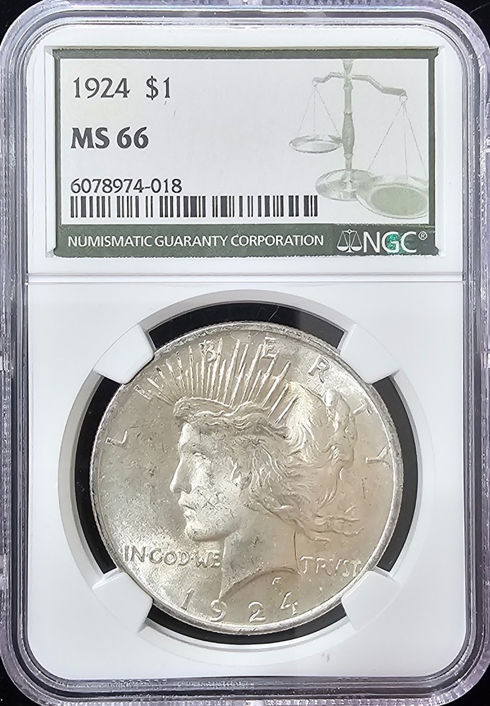 1924 Peace Dollar MS-66 NGC VIDEO