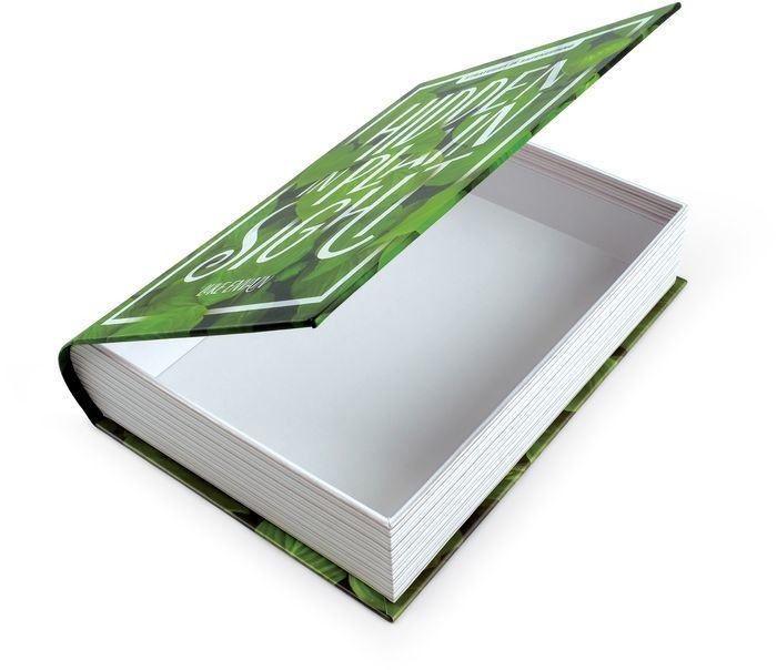 Book Storage Book “Hidden In Plain Sight”