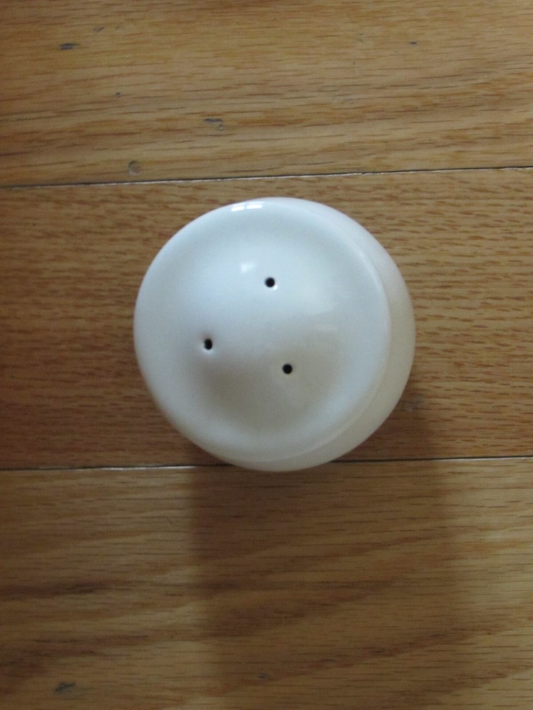 PFALTZGRAFF NORTHWINDS SALT SHAKER