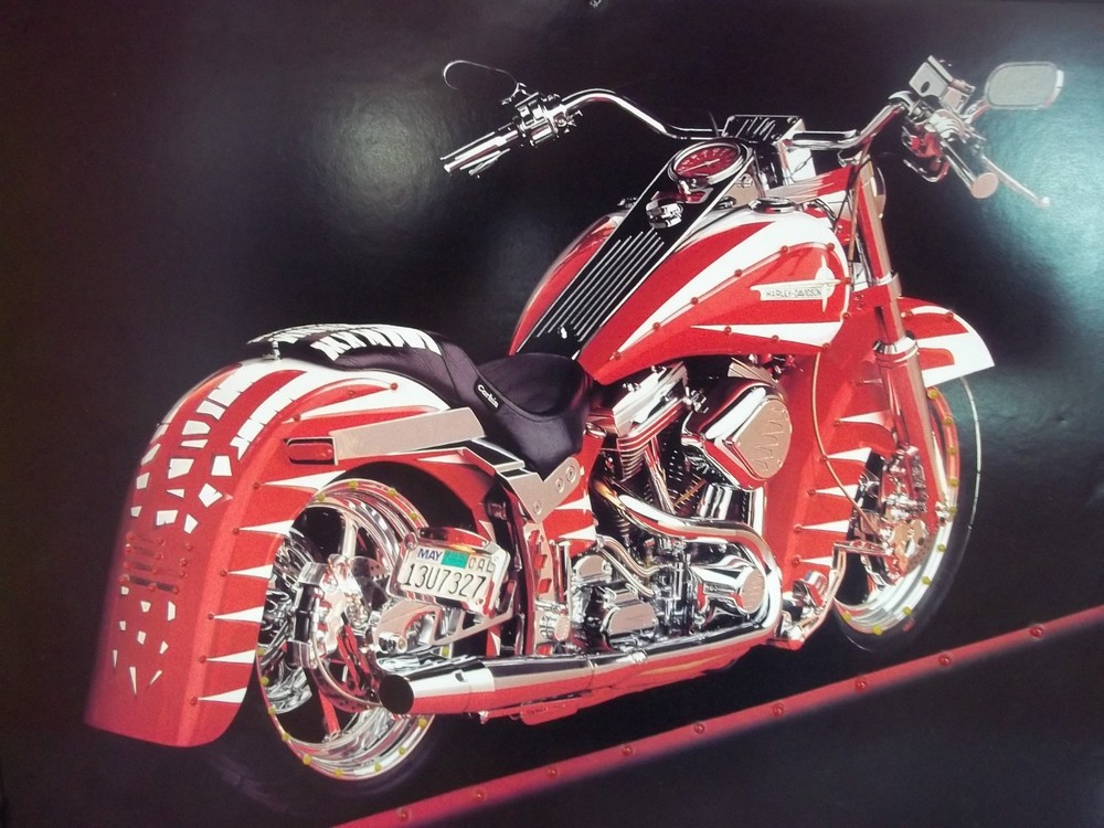 MOTORCYCLE LIGHTING SIGN #1711