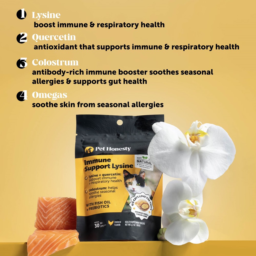 L Lysine Powder for Cats Immune Support