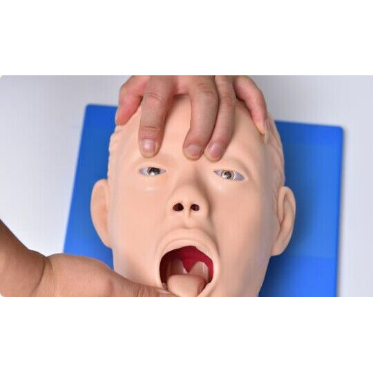 Teaching Model Airway Management Trainer Intubation Manikin Study for Training